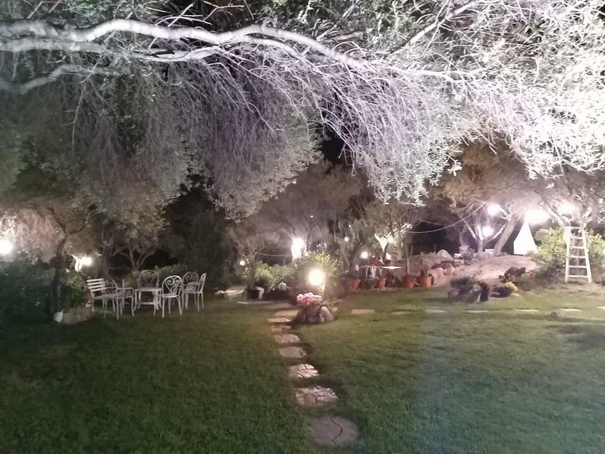 Il Falco Casa Vacanze - Cugnana - Porto Rotondo المظهر الخارجي الصورة